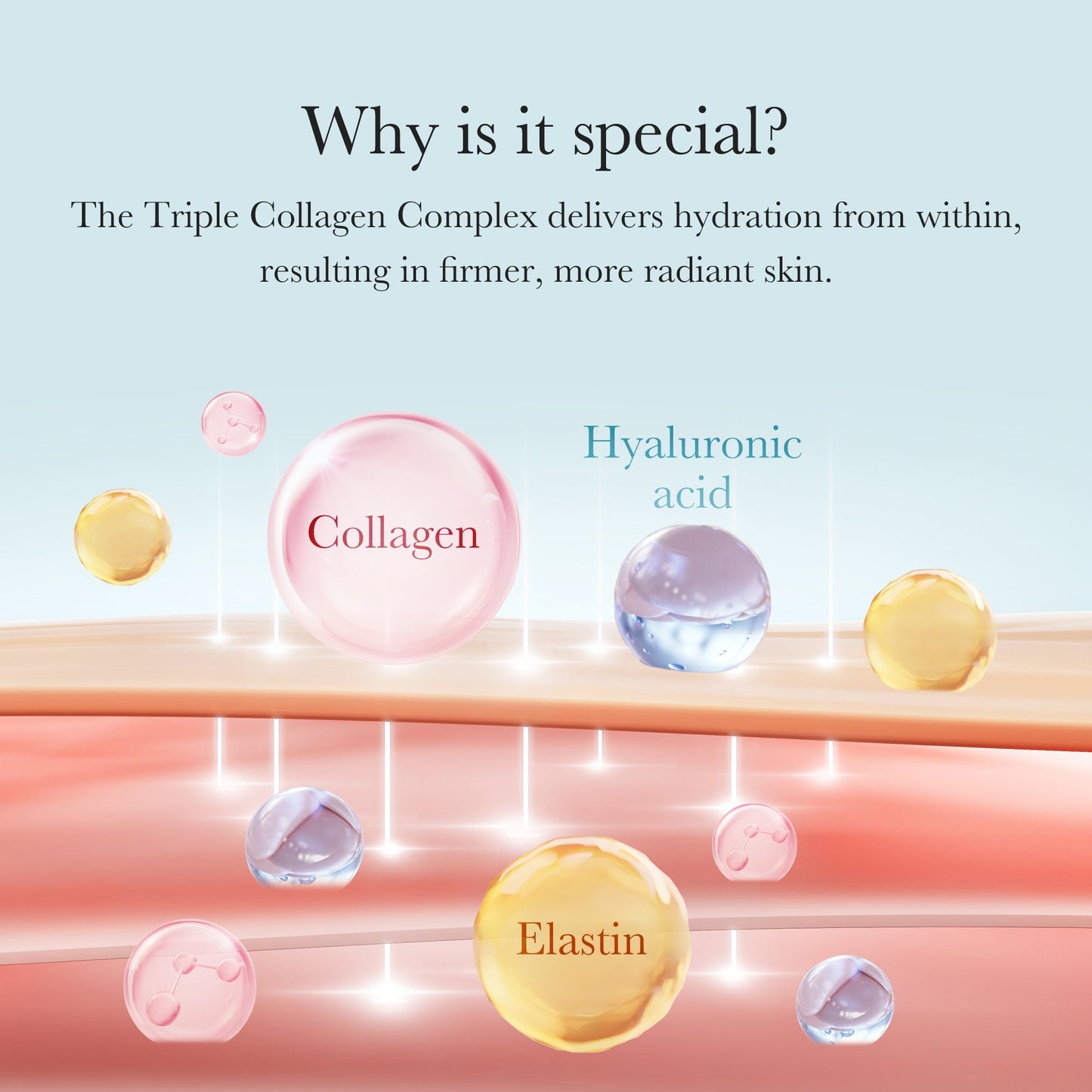 triple-collagen-cream-i6 04_8e4e330d-7d9c-4ff0-93ec-ea541093220c.jpg