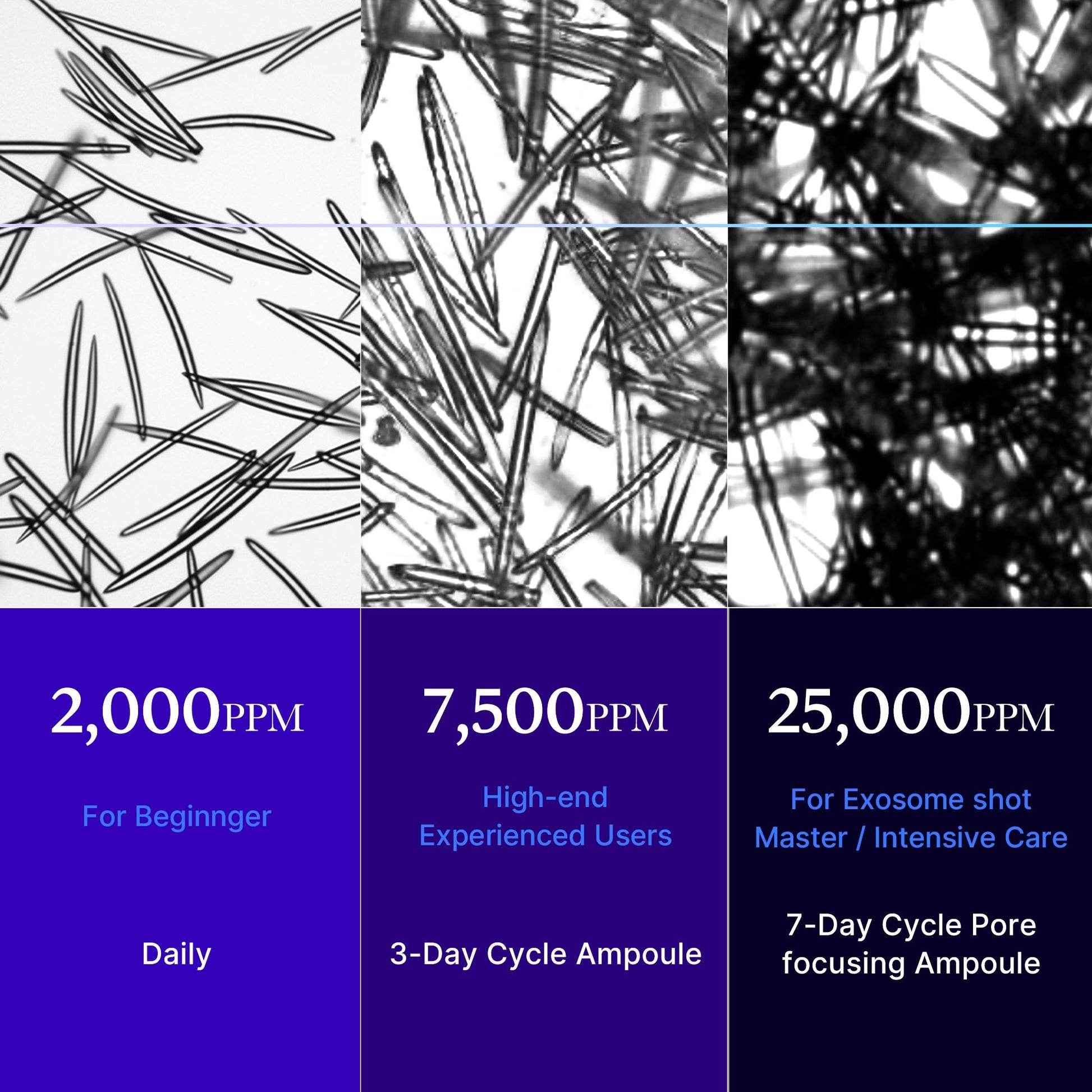 zero-exosome-shot-t2 25000_05.jpg