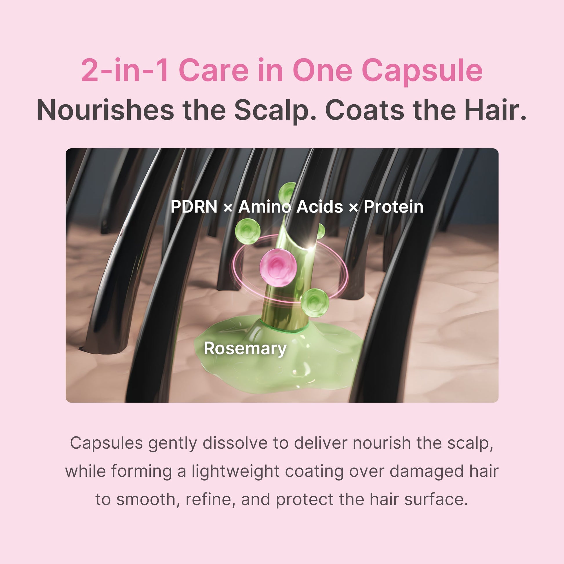 rosemary-pdrn-hair-and-scalp-conditioner-l5 US_ME_RosemaryConditioner_th05.jpg